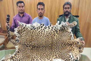 Forest Department Arrest Three Smugglers For leopard Skin Smuggling