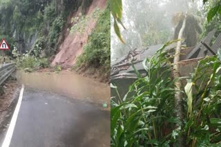 heavy rain cause Widespread damage in Idukki  heavy rain in Idukki  കനത്ത മഴയില്‍ ഇടുക്കിയില്‍ വ്യാപക നാശനഷ്‌ടം  ഇടുക്കിയില്‍ വ്യാപക നാശ നഷ്‌ടം  ഇടുക്കിയില്‍ കനത്ത മഴ  കനത്ത മഴ  മഴ  മഴയിൽ വ്യാപക നാശ നഷ്‌ടം  മരം കടപുഴകി വീണു  മണ്ണിടിഞ്ഞ് ഗതാഗതം തടസപ്പെട്ടു  Widespread damage in Idukki  Widespread damage in Idukki due to heavy rains  Idukki heavy rains  heavy rains  heavy rain in idukki  kerala rains