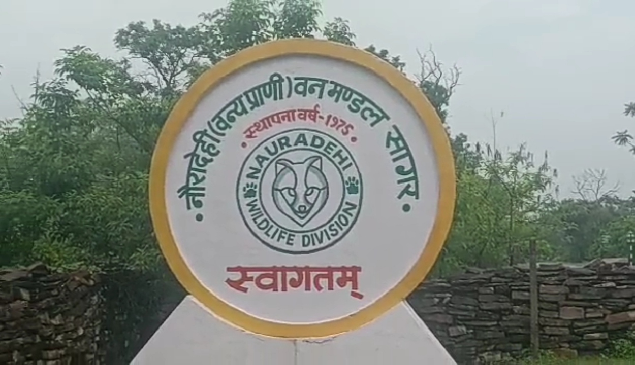 MP Sagar  Nauradehi Sanctuary