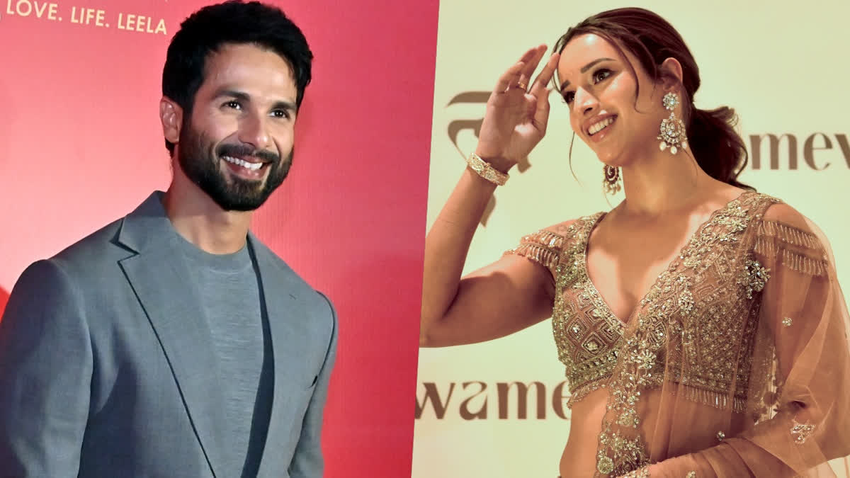 Shahid Kapoor, Triptii Dimri's Action Thriller Slated for December 2025 Release