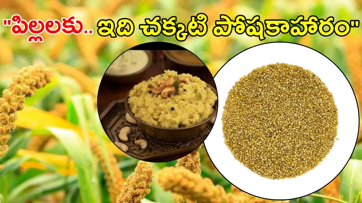 Health Benefits of Foxtail Millet