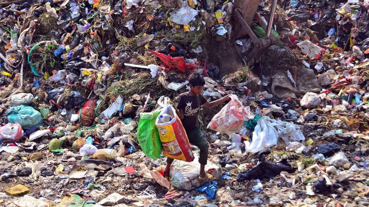 The Madhya Pradesh government proposed amendments imposing stricter fines for littering, wasting water, and defacing public property, empowering urban bodies to enforce on-the-spot penalties.