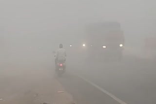 Cold Wave In Bihar