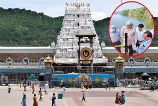 Government Focus On Safety Of Five Dams In Tirumala