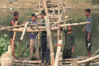 Daniyalpur Villagers Building Bamboo Bridge