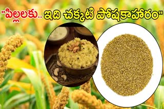 Health Benefits of Foxtail Millet