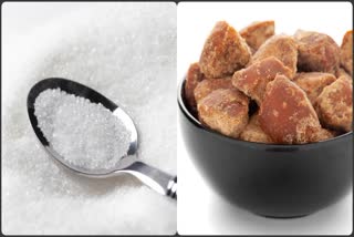 JAGGERY VS SUGAR