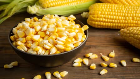 SWEET CORN HEALTH BENEFITS  ചോളത്തിന്‍റെ ആരോഗ്യ ഗുണങ്ങൾ  സ്വീറ്റ് കോൺ  SWEET CORN FOR WEIGHT LOSS