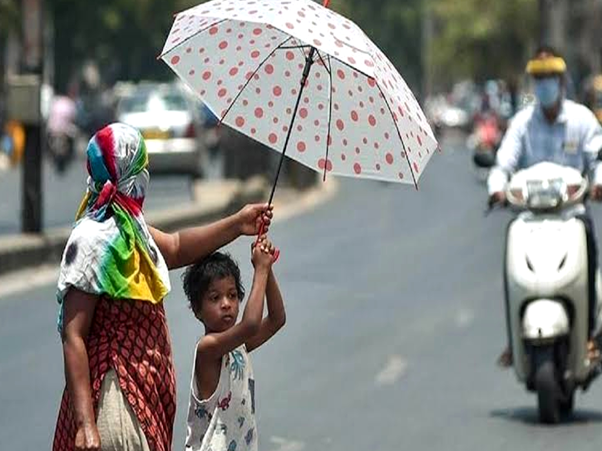 Haryana Weather Update