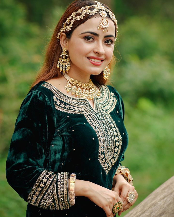 Hottest Punjabi Actresses