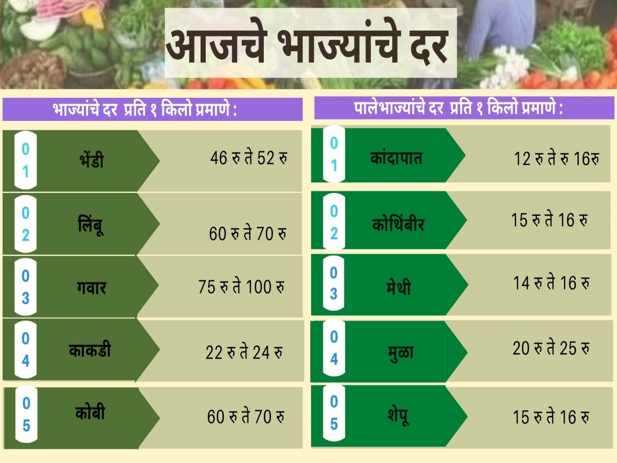 Today Vegetables Rate