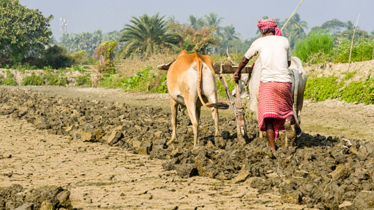 Compensation Policy For Farmers : किसानों को निराश कर रही मुआवजे की सरकारी नीति.