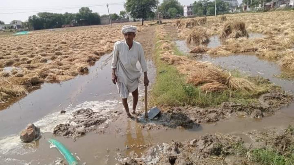 Compensation Policy For Farmers : किसानों को निराश कर रही मुआवजे की सरकारी नीति.