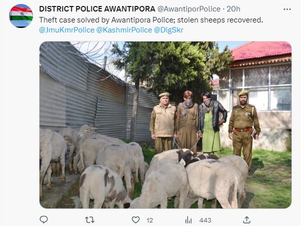 Police recovers 18 sheep in Awantipora theft
