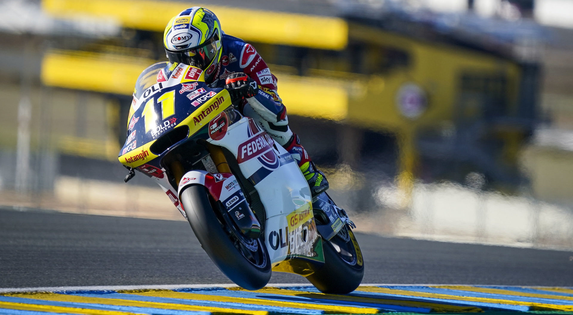 motorcycling world champion,  Gresini,  Bologna