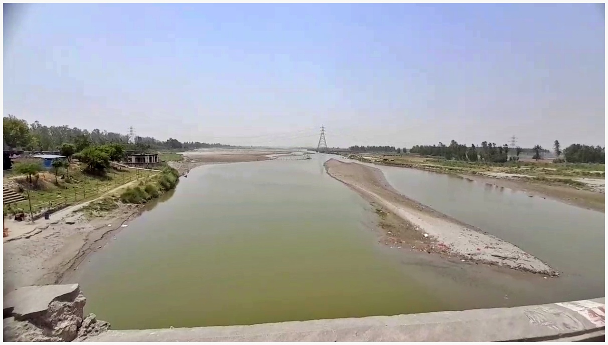 ammonia level increase in Yamuna river in Haryana