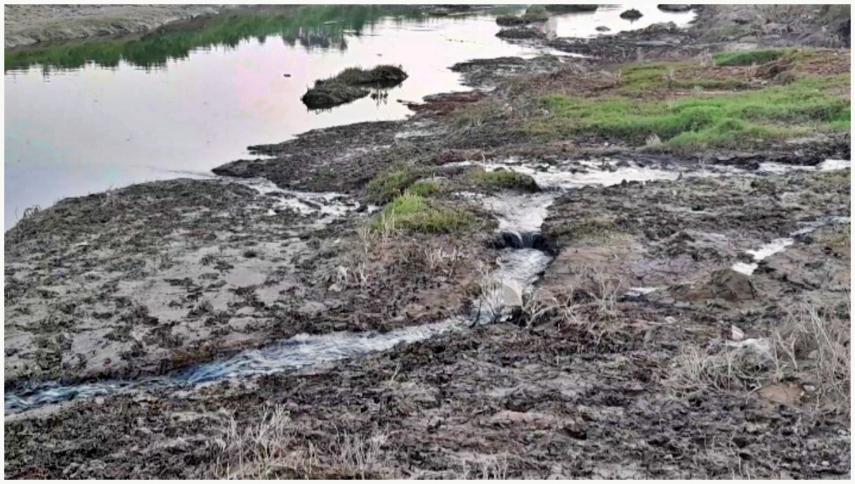 ammonia level increase in Yamuna river in Haryana