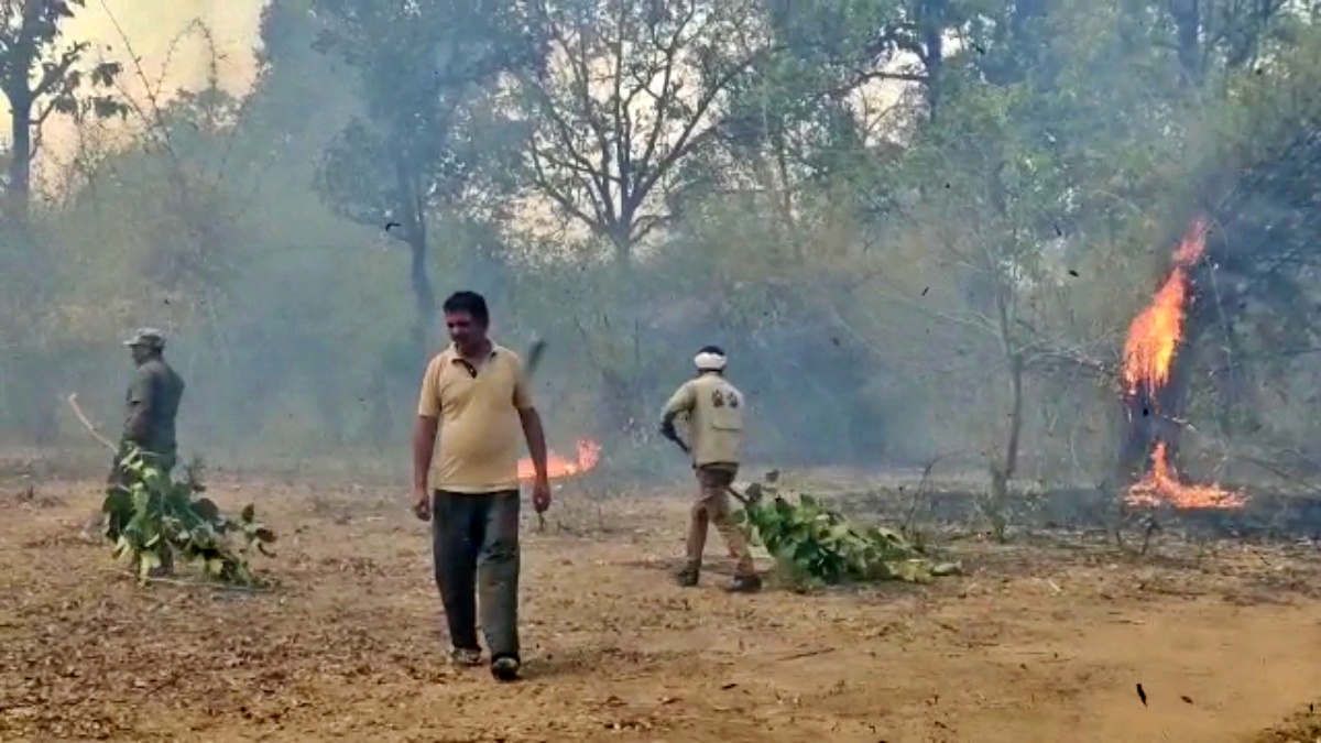 banghavgarh tiger reserve