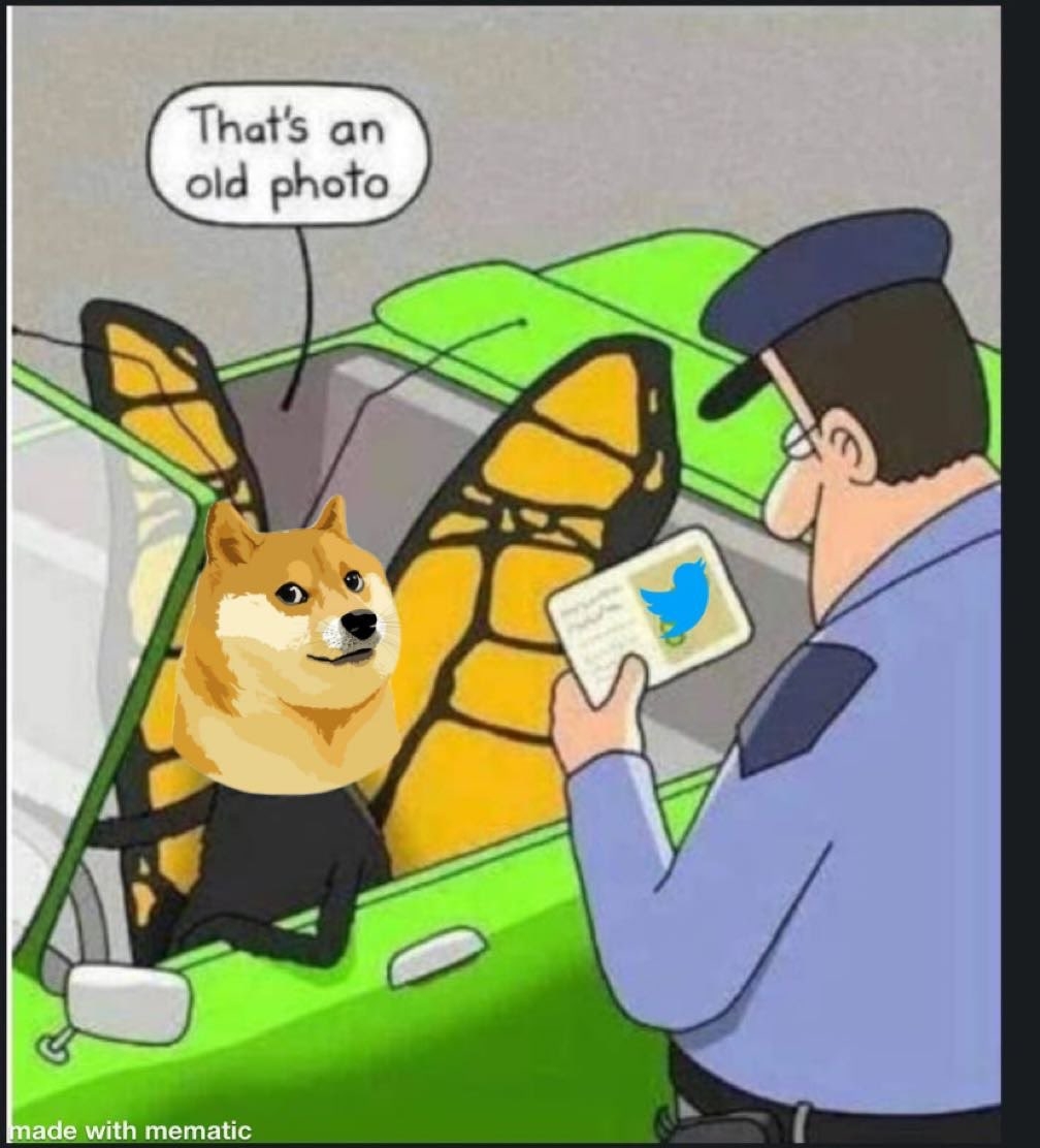 Musk replaces Twitters blue bird logo with Doge meme