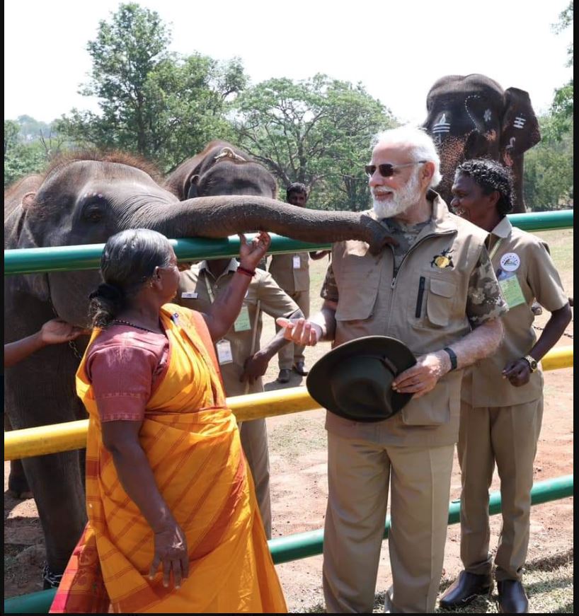 mudumalai tiger reserve