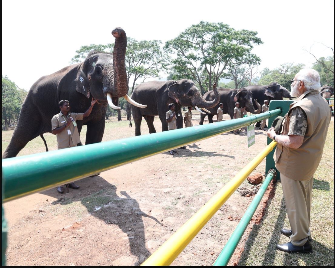 mudumalai tiger reserve