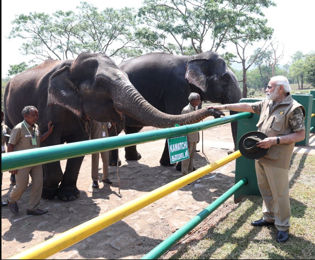 mudumalai tiger reserve