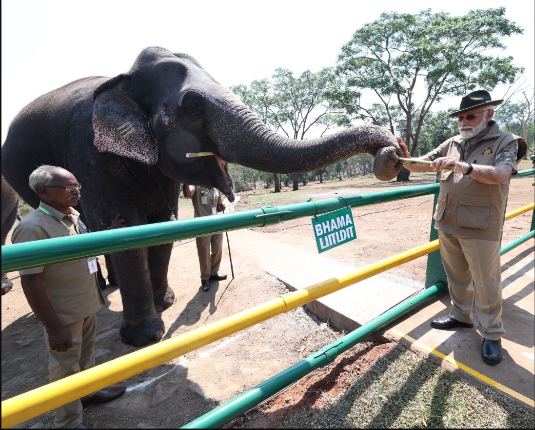 mudumalai tiger reserve