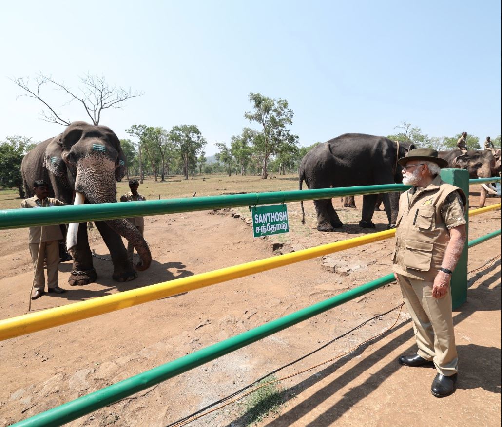 mudumalai tiger reserve