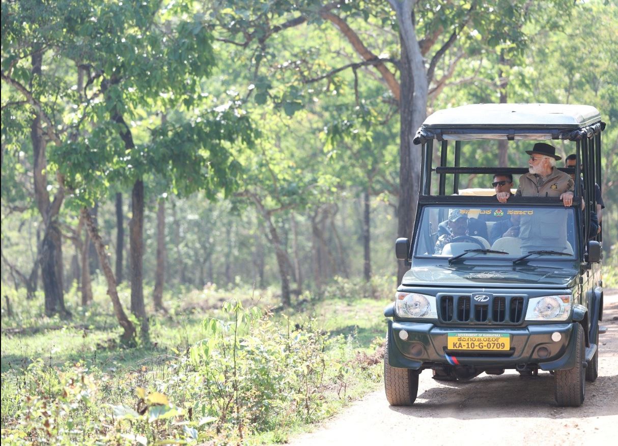 Bandipur tiger reserve