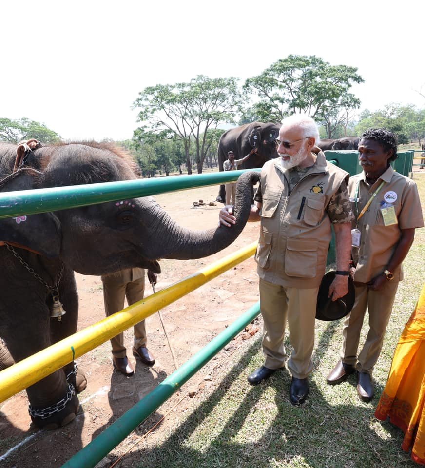 PM Modi Visits Bandipur Tiger Reserve In Karnataka