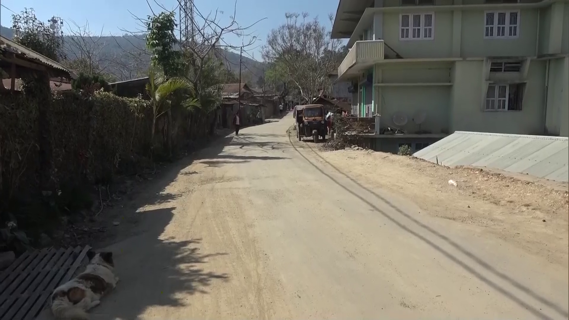 trees adoption manipur