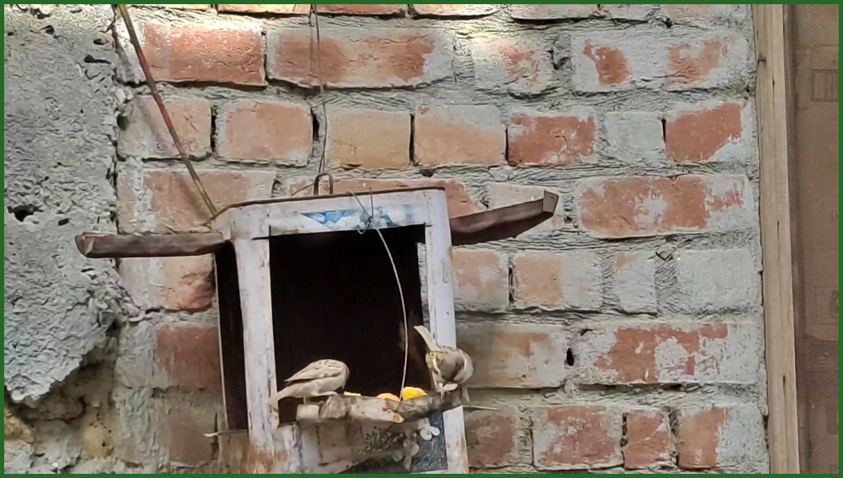 Sparrow Enclave in Karnal
