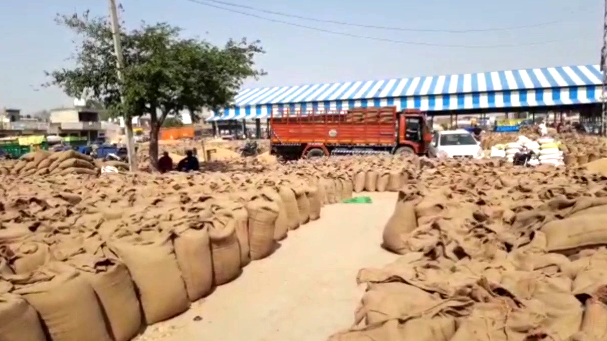 Kurukshetra Pipli grain market