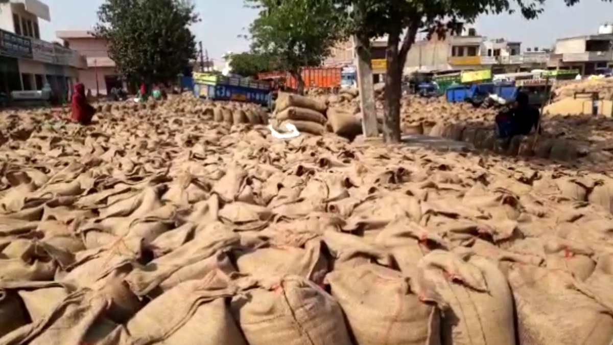 Kurukshetra Pipli grain market