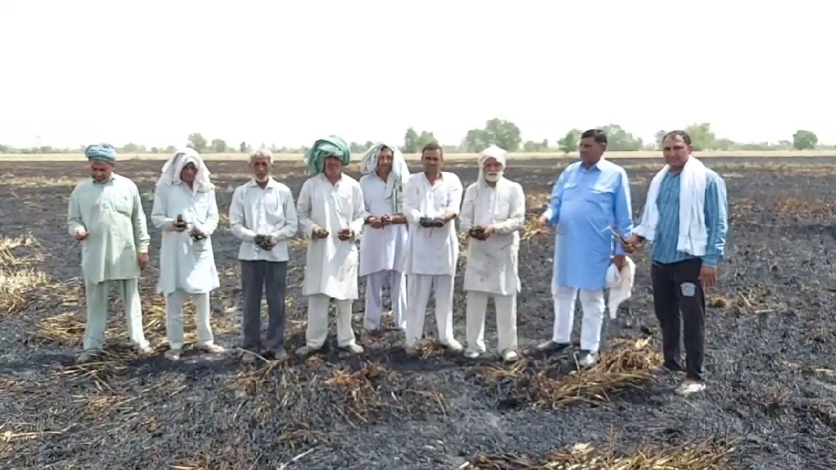 fire in wheat crop in rohtak