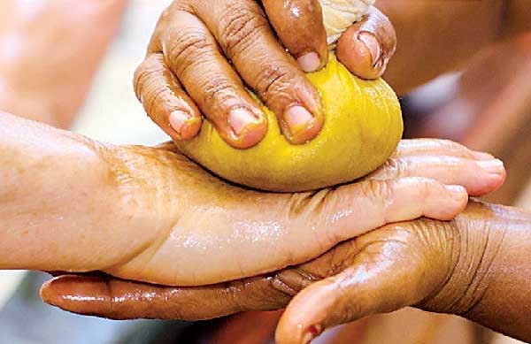 ಹೋಮಿಯೋಪತಿ- ಆಯುರ್ವೇದ ಚಿಕಿತ್ಸೆ