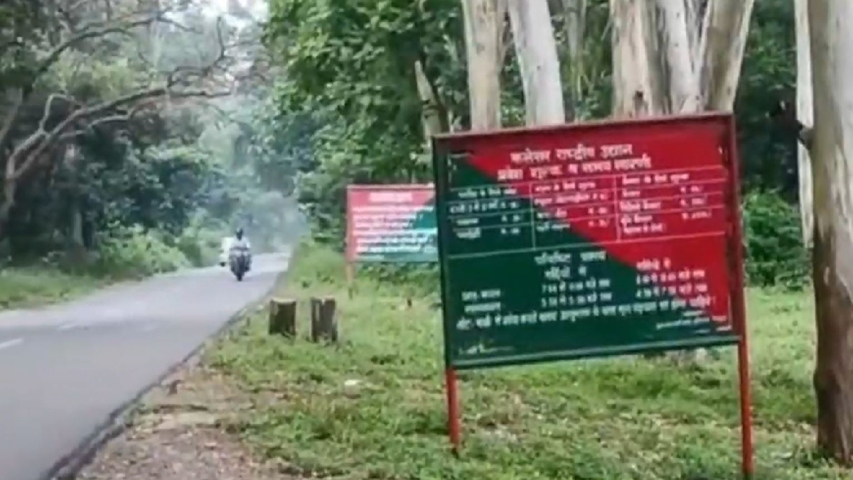 Kalesar National Park Yamunanagar