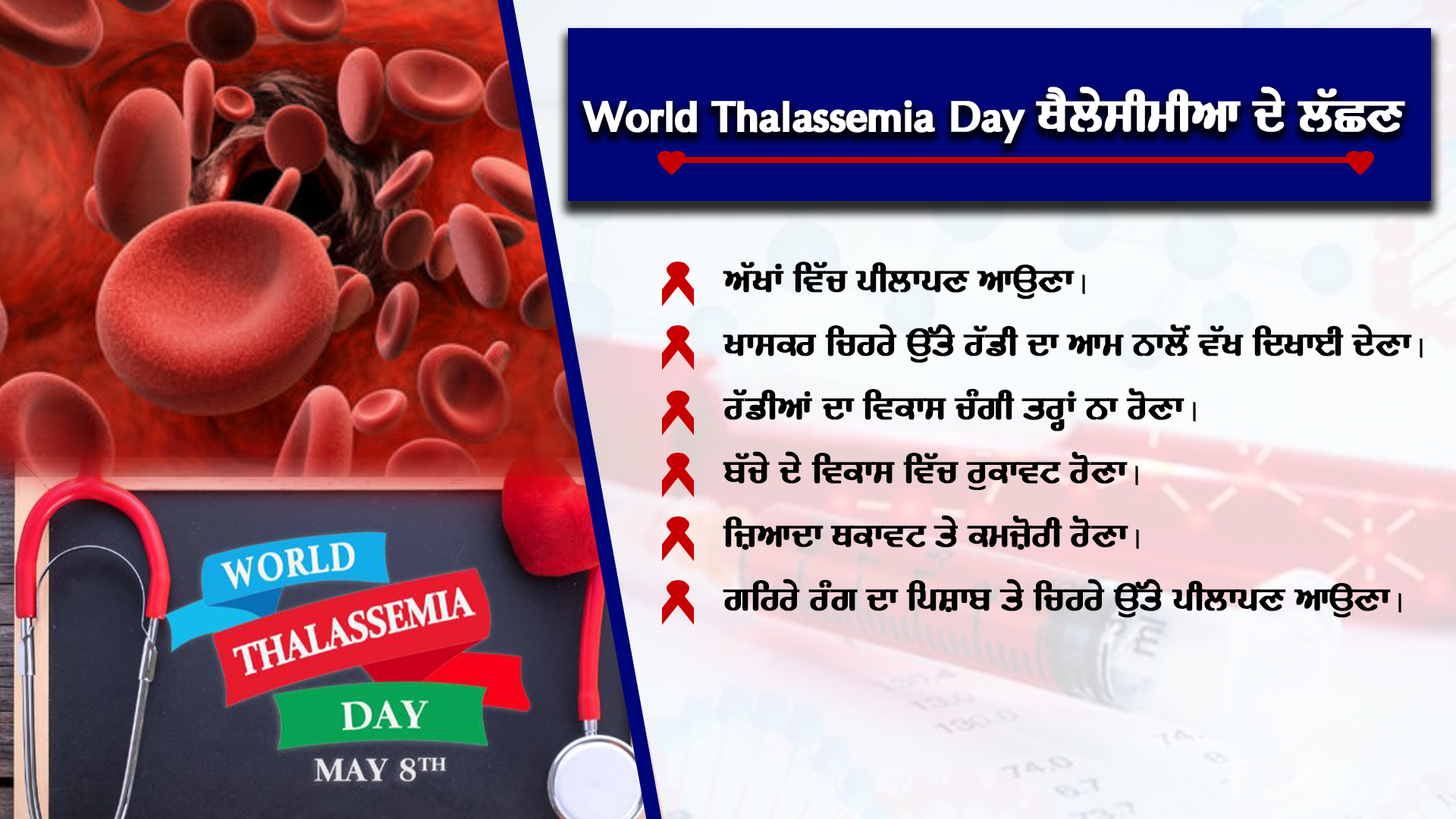 World Thalassemia Day 2023