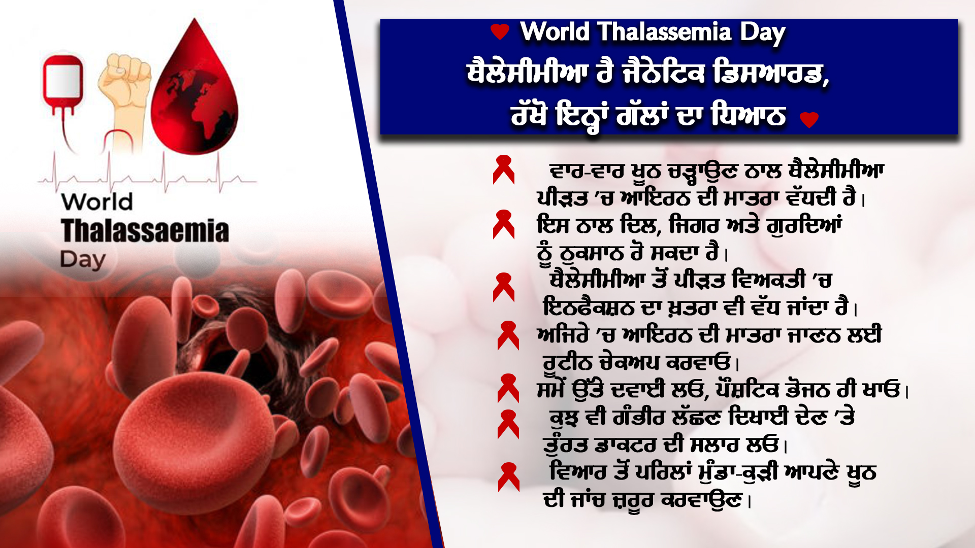 World Thalassemia Day 2023