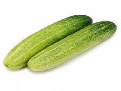 Cucumber