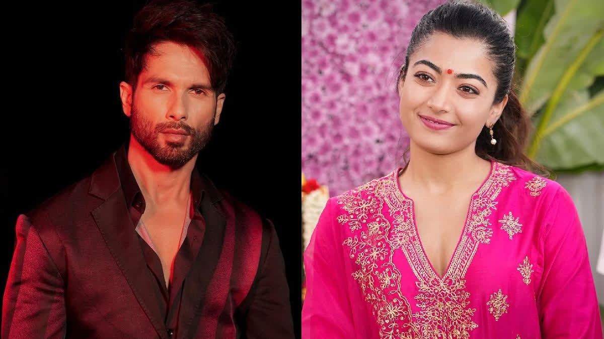 Shahid Kapoor Rashmika Mandanna movie