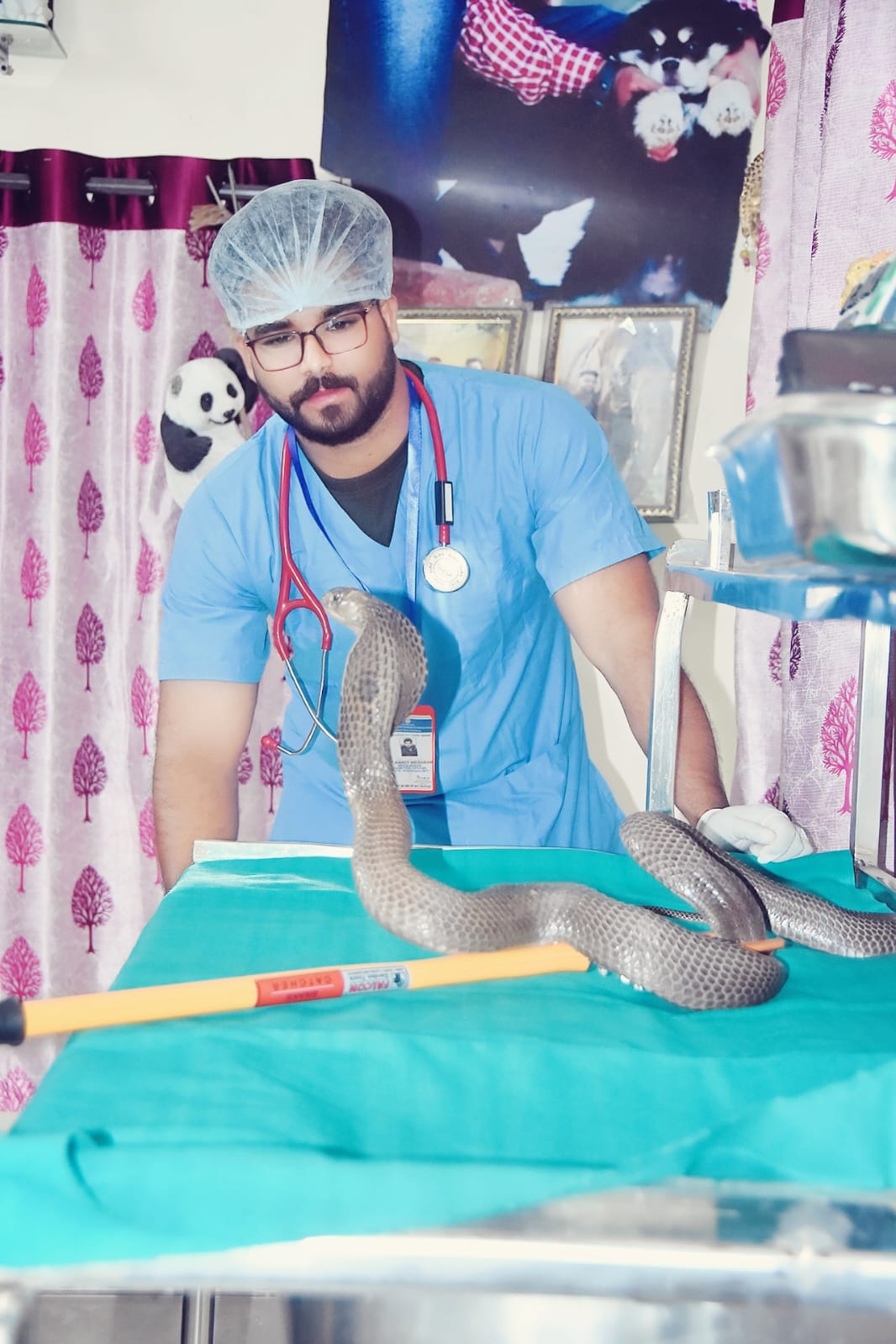 cobra snakes surgery by dr ankit meshram