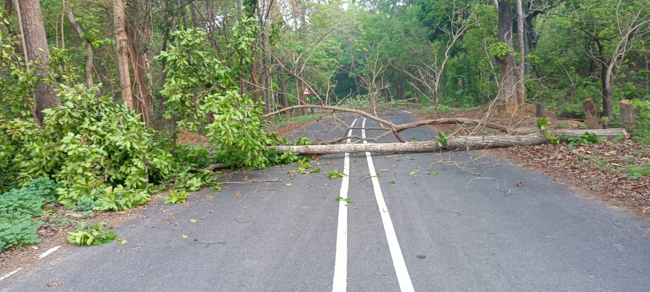 naxal called bandh in rayagada