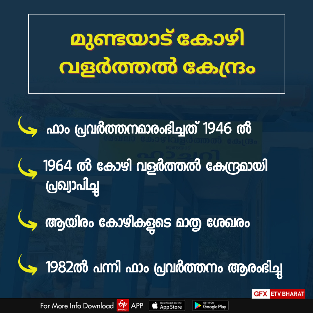 Mundayad Poultry Center  ഗ്രാമശ്രീ കോഴി  കോഴി ഫാം  മുണ്ടയാട് കോഴി വളർത്തൽ കേന്ദ്രം  Gramasree chickens  നാടൻ നേക്കഡ് നെക്ക് കോഴി  കോഴി  ഗ്രാമശ്രീയാണ് താരം  chicken