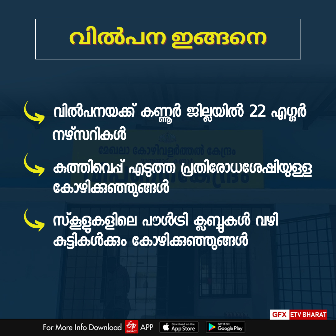 Mundayad Poultry Center  ഗ്രാമശ്രീ കോഴി  കോഴി ഫാം  മുണ്ടയാട് കോഴി വളർത്തൽ കേന്ദ്രം  Gramasree chickens  നാടൻ നേക്കഡ് നെക്ക് കോഴി  കോഴി  ഗ്രാമശ്രീയാണ് താരം  chicken