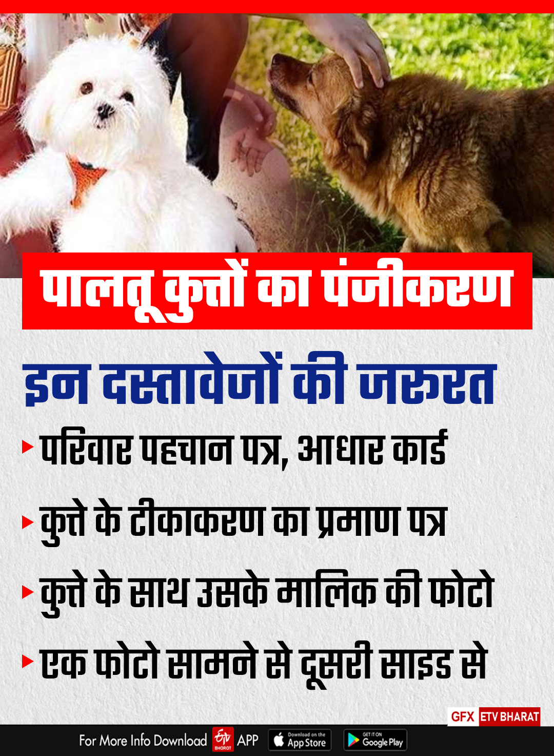 pet dog registration in haryana