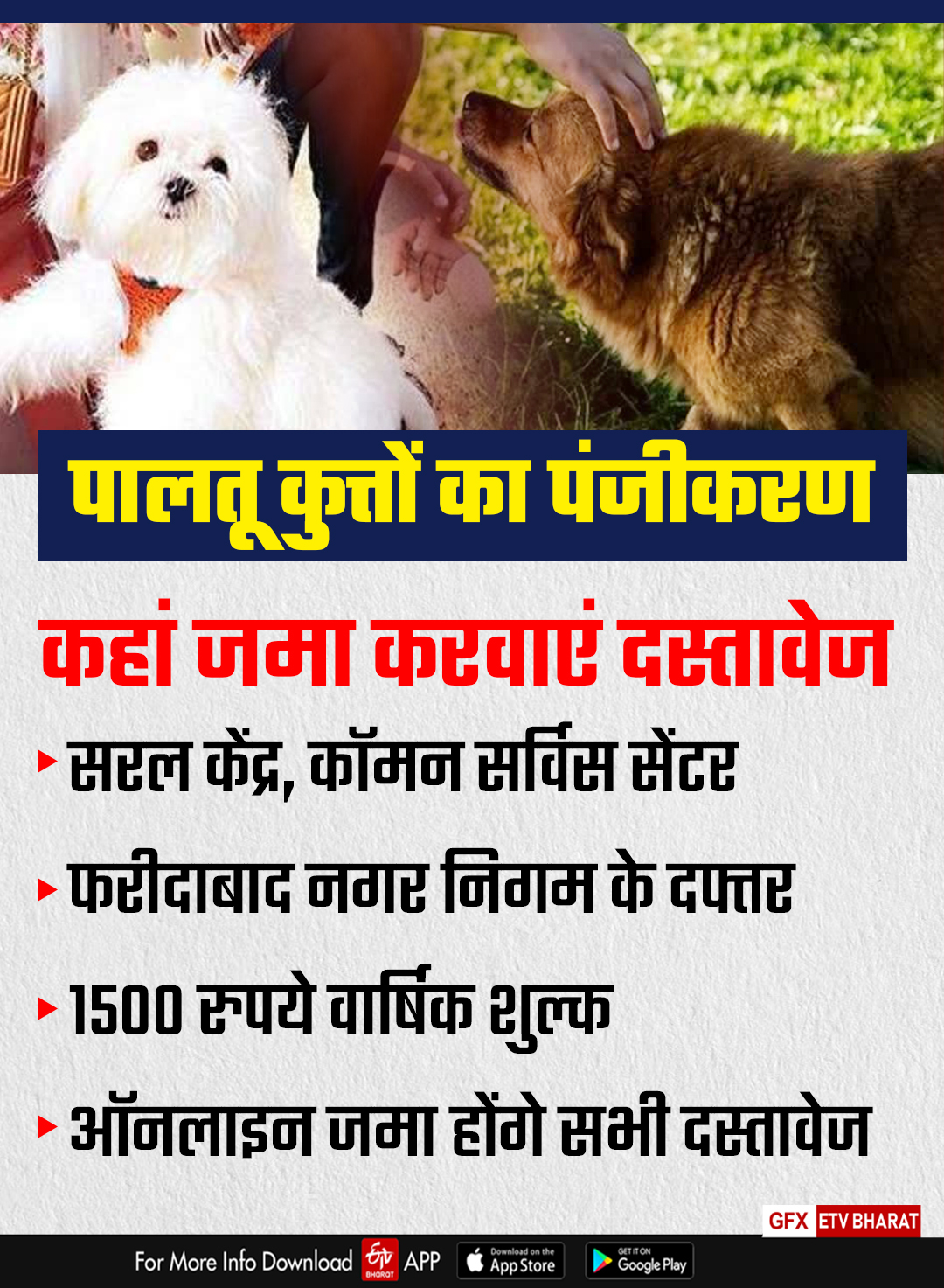 pet dog registration in haryana