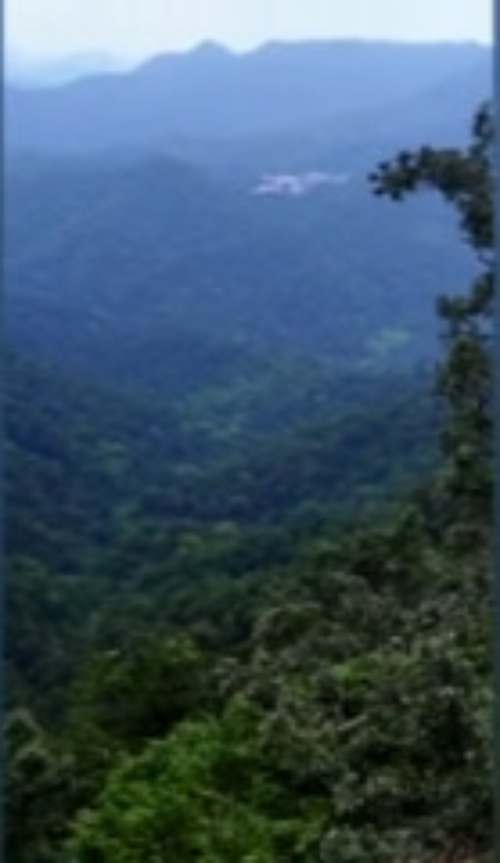 sabarimala-makarajyoti-hill-illegal-puja