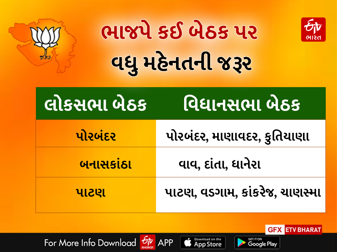 ભાજપે કઈ બેઠક પર મહેનત કરવાની જરૂર