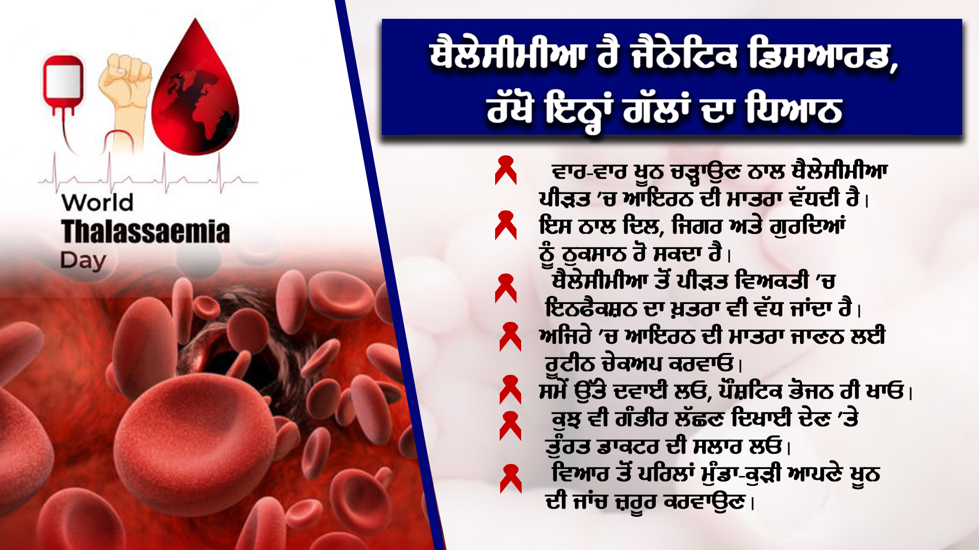 Thalassemia Bal Sewa Yojana, Bone Marrow, What is Thalassemia